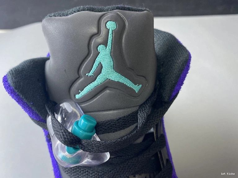  “Alternate 5 Jordan Grape” 136027-500 Air 0204